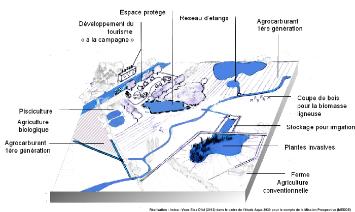 Zone humide continentale : scénario 2