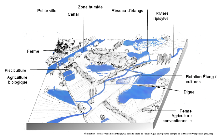 Zone humide continentale : situation 2010