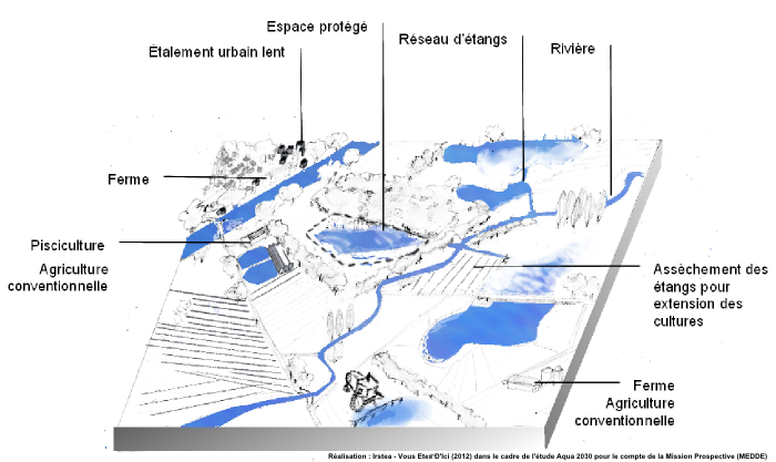 Zone humide continentale : scénario 1